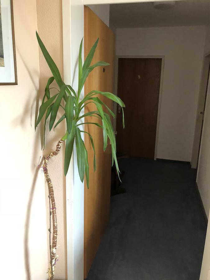 Hotel Junkerhaus バート・ザルツフレン エクステリア 写真